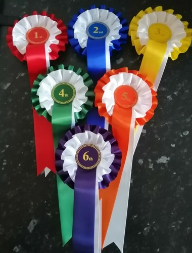 1st 6th tier rosettes - 1st,