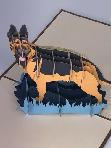German shepard pop - german,