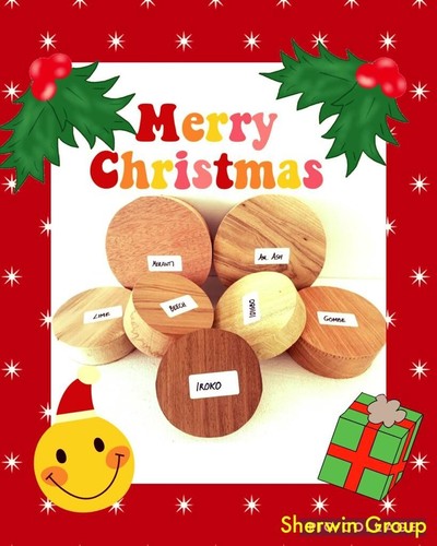Woodturning bowl blanks - bowl, gift