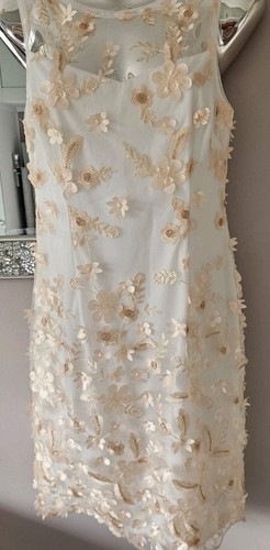 Adrianna papell dress 10 - adrianna,