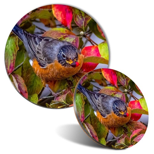 Mouse mat coaster set - mat,