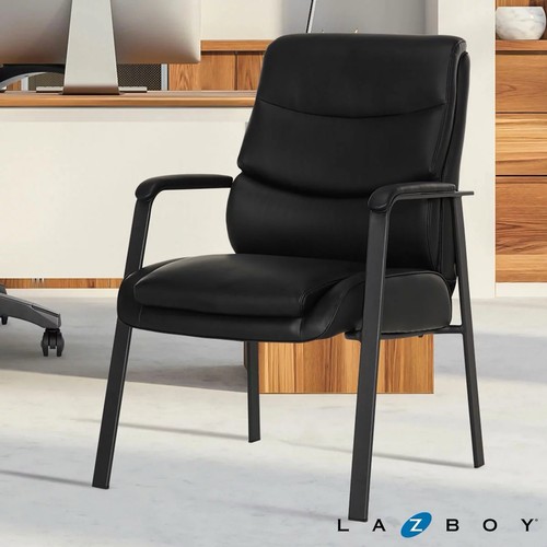 Boy visitors chair - la-z-boy,