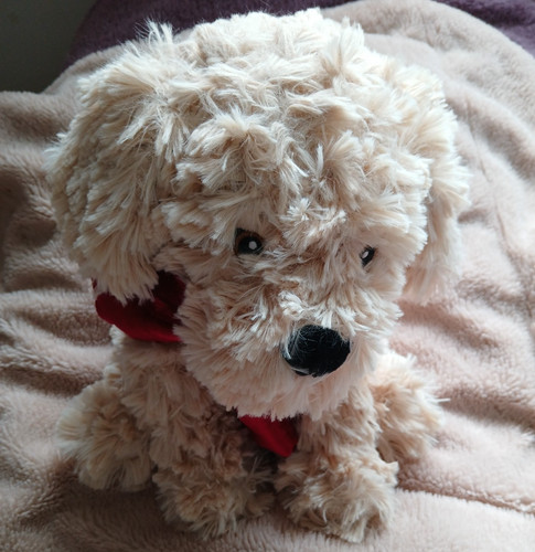 Tesco beige cockerpoo dog soft - beige,