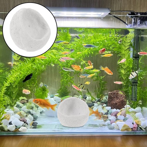 Aquarium anemone accessories - aquarium,