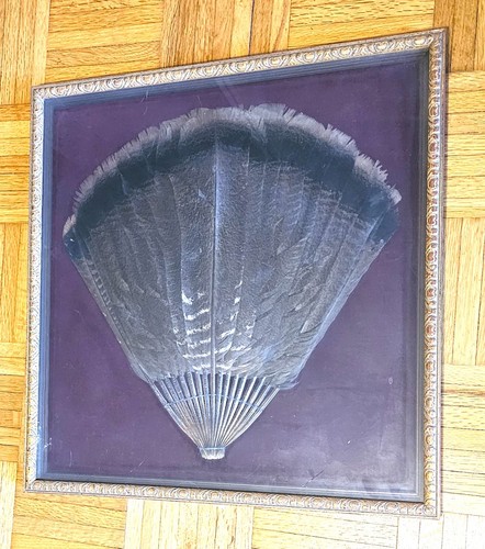 Early 20th mounted framed - early, c.
