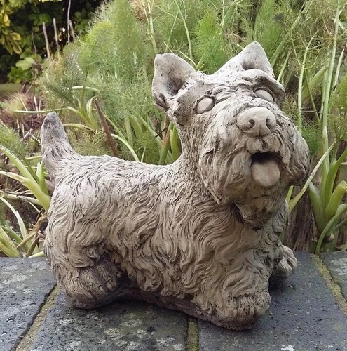 Stone garden scottish - garden,