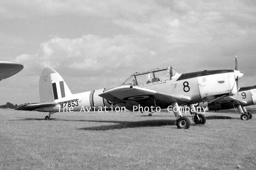 Raf college dhc chipmunk - college,