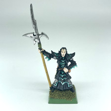 Dark Elf Black Guard - Dark