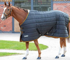 Shires Tempest Original 300