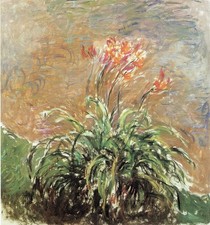 Monet- Hemerocallis A1-A4