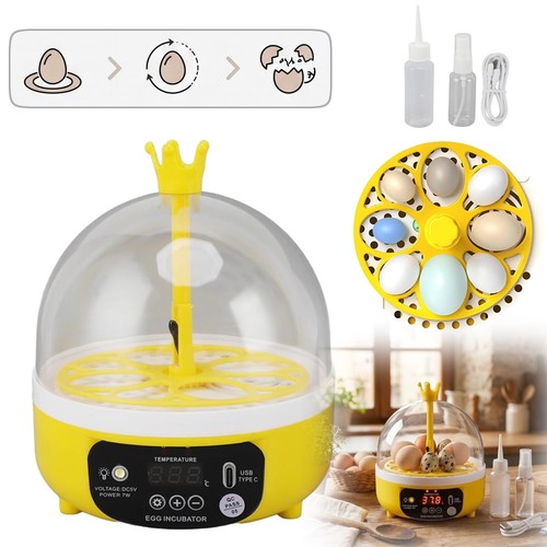 Incubators for hatching - incubators,