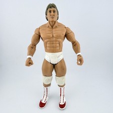 Mr Wonderful Paul Orndorff WWE