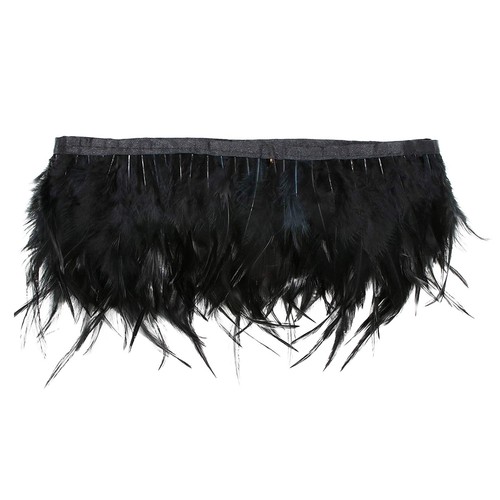 Meter rooster tail feathers - tail,