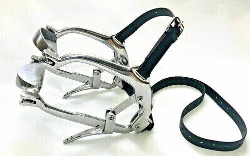 Full mouth gag - mouth, horse