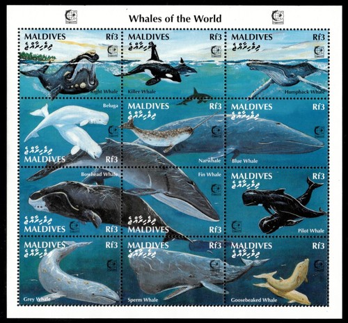 Maldives 1995 whales - 1995, sheet