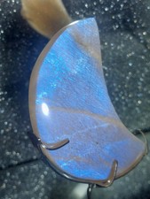 Stunning Blue Flash Moonstone