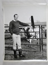 Dairy Farmer Man Friesian Cow Farm Agriculture Surrey UK 1969 VTG Press Photo