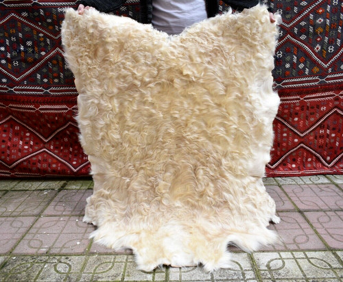 Angora goat leather goatskin - angora,