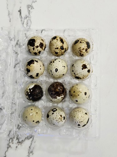 Dozen fresh unwashed quail - 2,