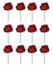 Christmas Rose Set - For