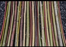 Organic Willow Cuttings Basket