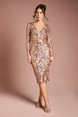 Coast champagne midi dress - midi,