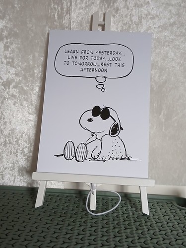 Snoopy wall art - wall, a4