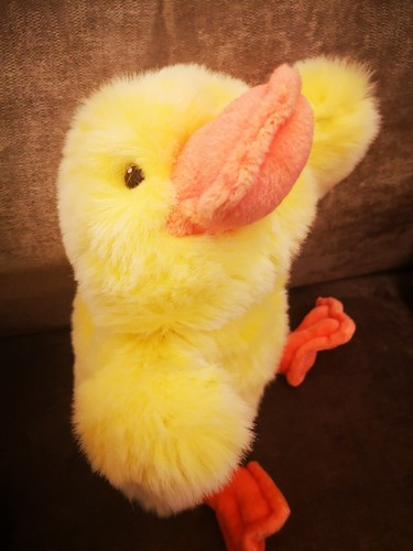 Plush chicken microwaveable - ,