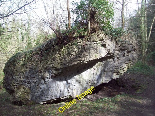 Photo 12x8 magnesian - photo, limestone