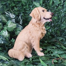 Vivid Arts - Golden Retriever