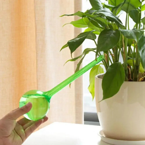 Plant self watering bulb clear - self,