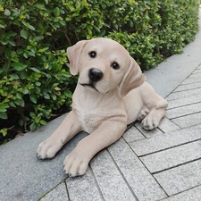 17" Lying Labrador Retriever