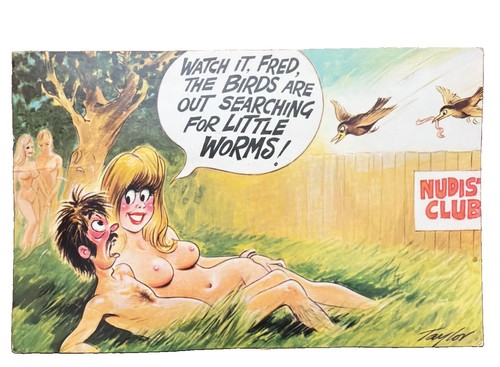 Bamforth comic postcard 251 - bamforth,