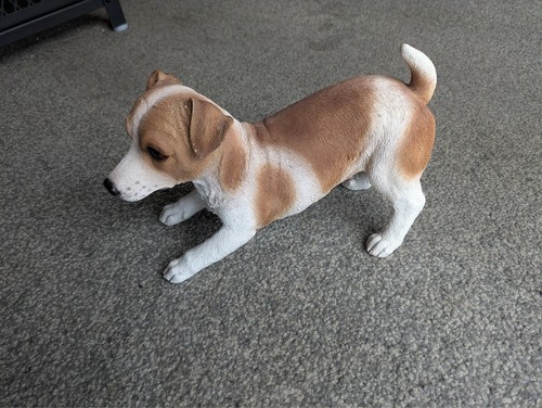 Hotant jack russell terrier - hotant,