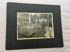 Antique Photo 1910s-1920s -