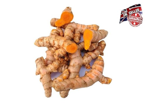Fresh turmeric roots - roots, haldi