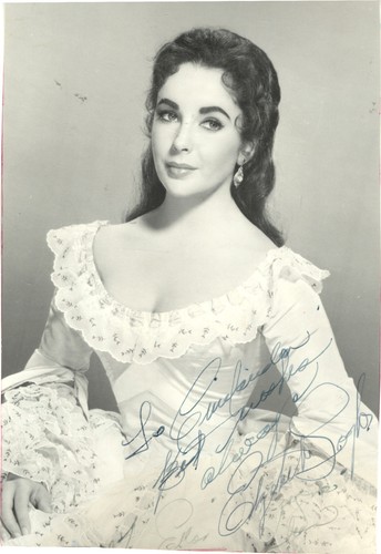 Oscar winner actress elizabeth - winner,