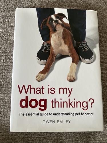 What dog thinking the - what,