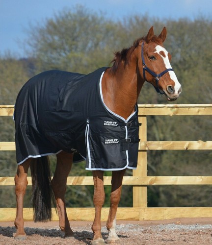 Turner equestrian 100g black - equestrian,