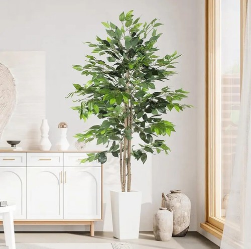 Artificial ficus tree with - artificial,