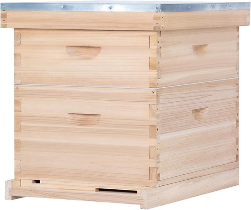 Complete honey beehive - complete,