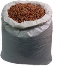 English peanuts wild bird - wild,