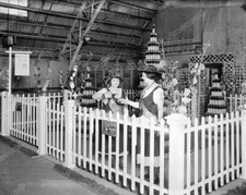 Ladies In Hats Peacock Ginger