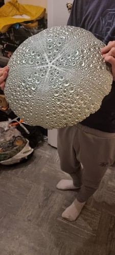 Decorarive fruit bowl - fruit,