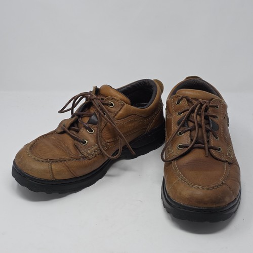 Irish setter red wing - irish,
