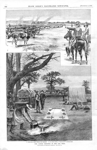 Cattle industry the far - in,