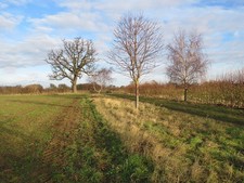 Photo 6x4 Footpath to