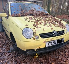 Lupo Door Left Right Boot