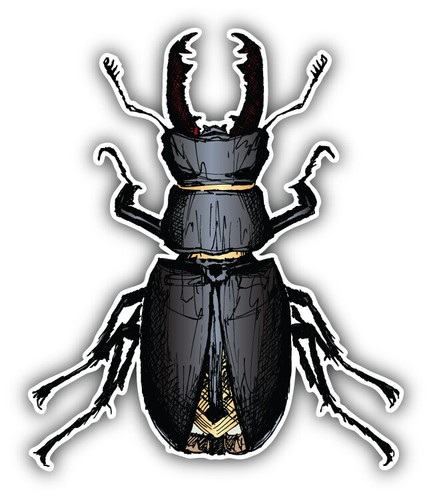Stag beetle sketch car bumper - sketch,