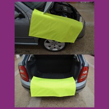 Fluorescent Yellow Wing
